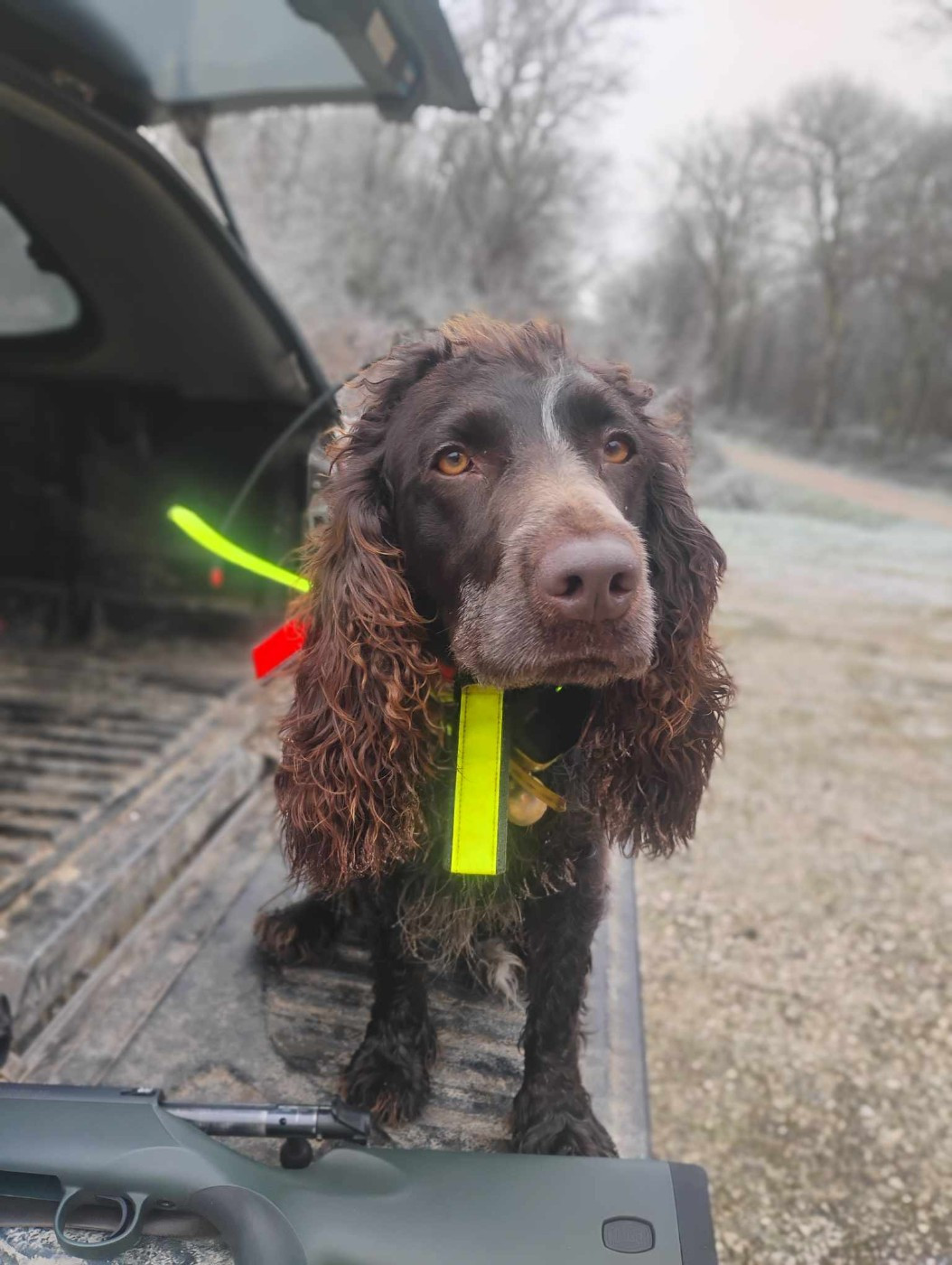 Quanny vom thelehaus